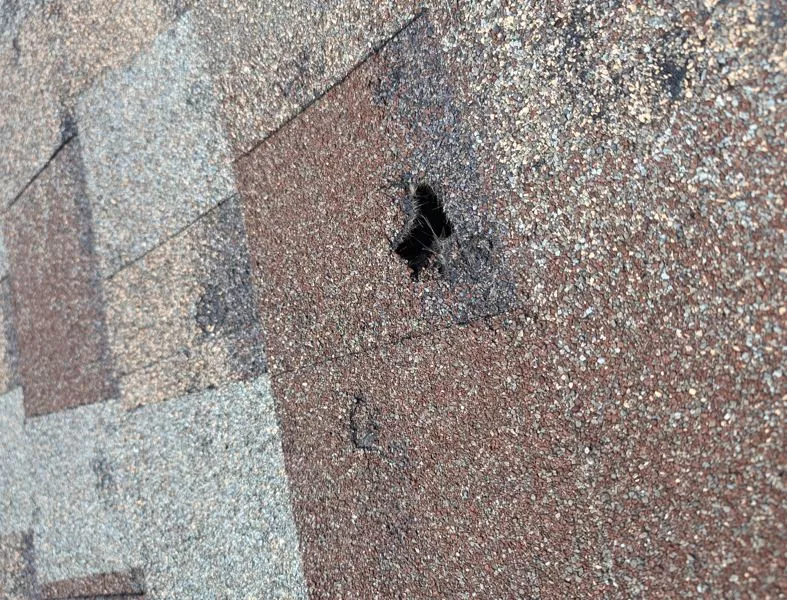 Insurance Claim Assistance for Roof Damage