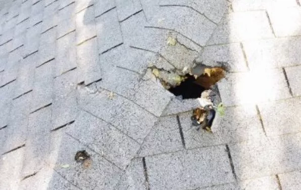 Roofing Repair Services